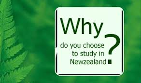 Du học New Zealand - những thông tin hữu ích