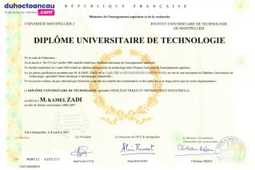 Giới thiệu tổng quan về bằng DUT và chương trình ADIUT du học Pháp