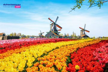 Hà Lan - quốc gia "đáng sống" nhất châu Âu